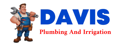 Trusted plumber in ZAVALLA